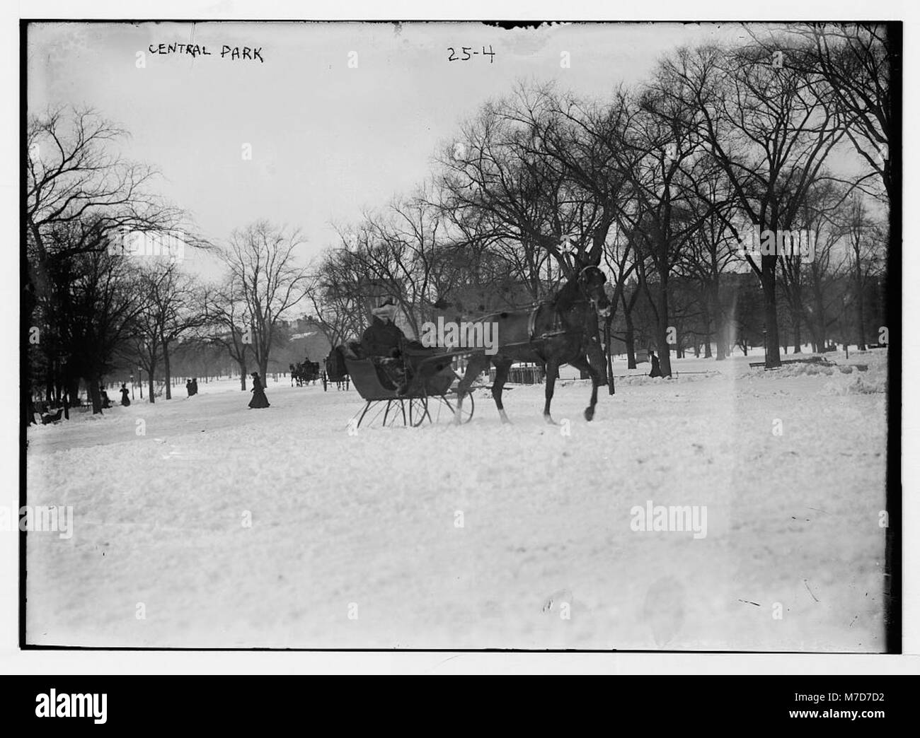Pferdeschlittenfahrt im Central Park, New York City LCCN 2014680137 Stockfoto