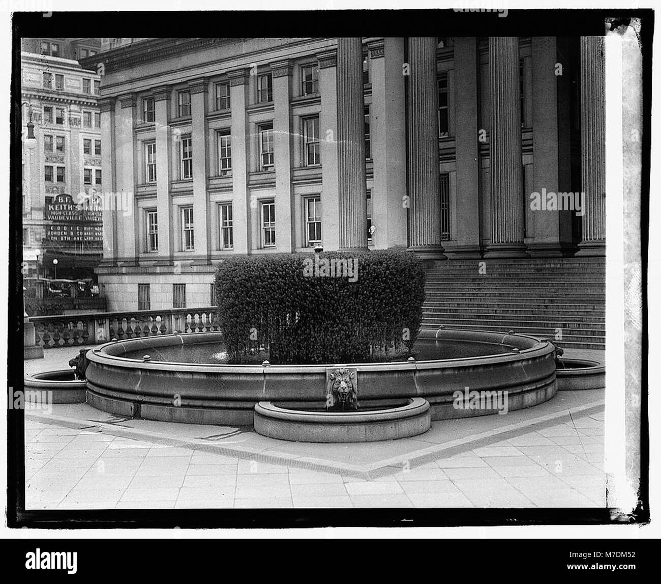 Ein Foto der Geldfabrik, bekannt für ihre Rolle im Finanzministerium. Dieses Bild unterstreicht die Bedeutung der Pflanze für die traditionelle Nutzung und den Symbolismus in verschiedenen Kulturen. Stockfoto