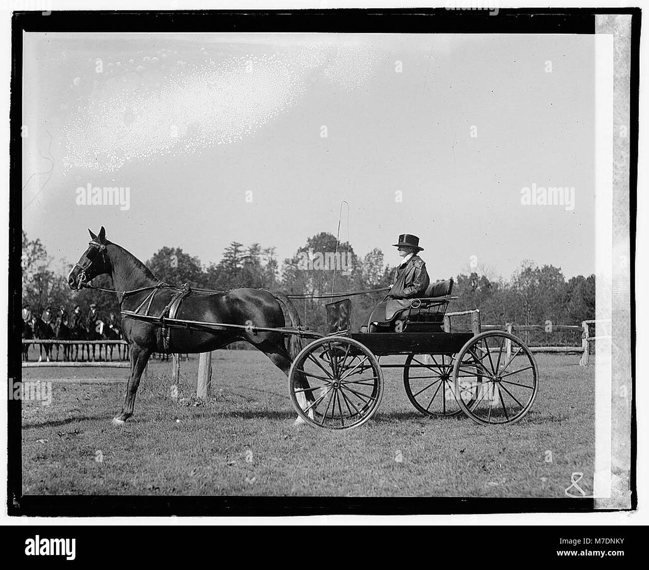 Frau Johnson LCCN 2016828960 Stockfoto