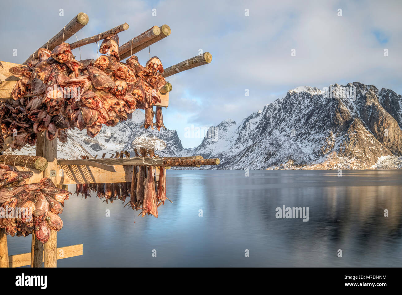 Reine, Lofoten, Norwegen, Europa Stockfoto