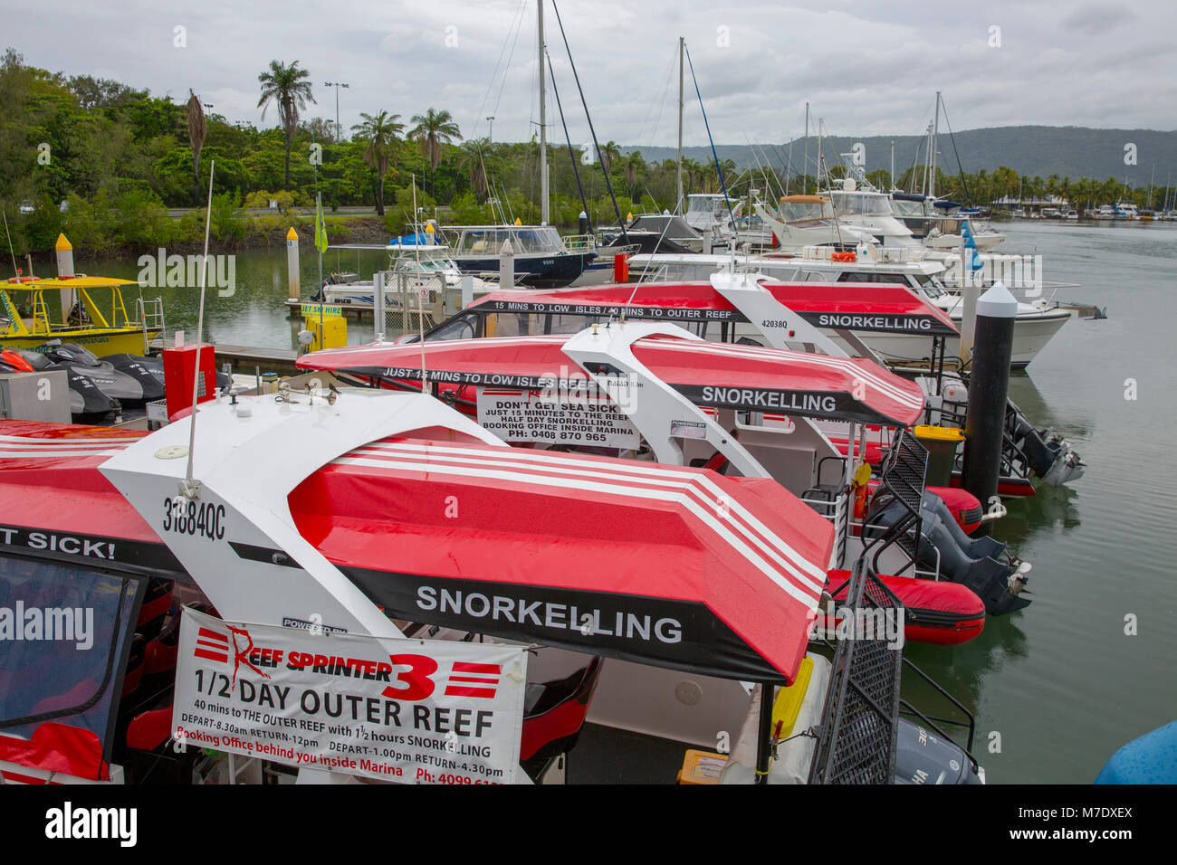 Sprinter schnelle Boote zum Great Barrier Reef, Port Douglas marina, Far North Queensland, Australien Stockfoto