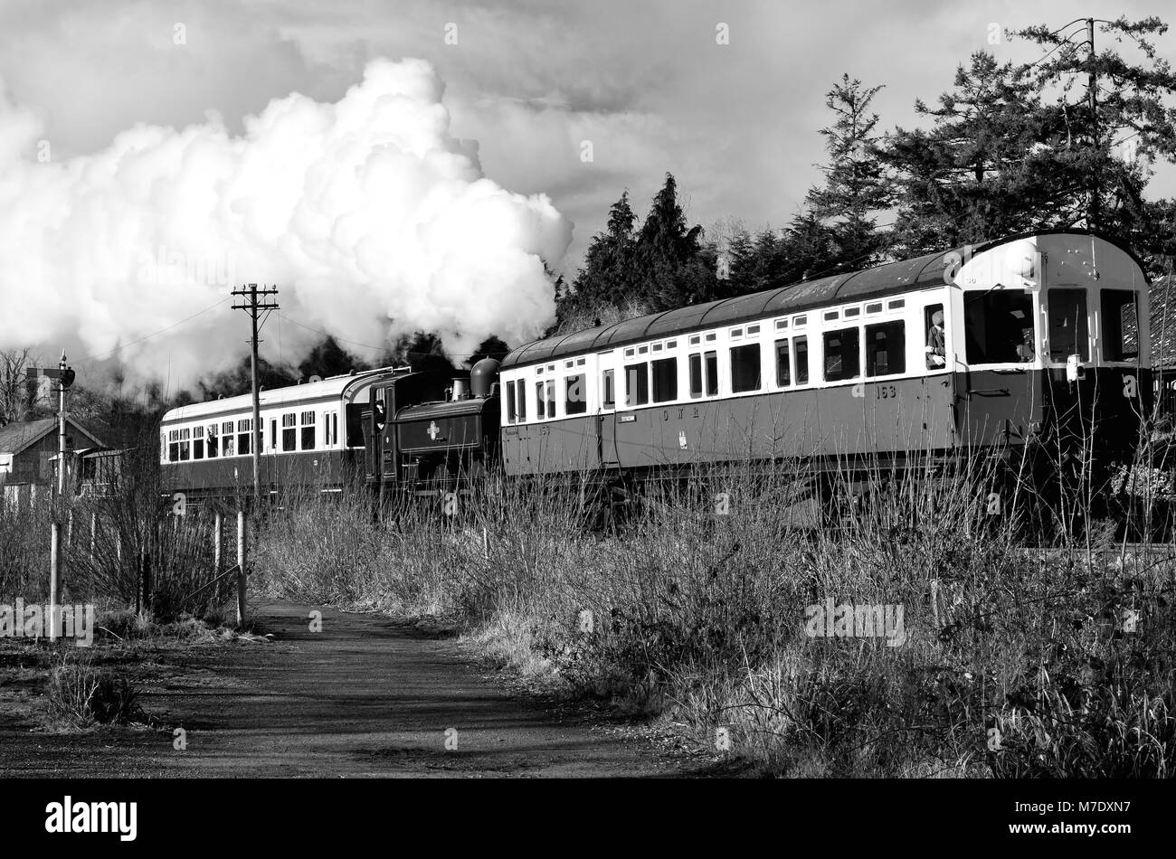 GWR-Gepäckbehälter Nr. 6412, der Staverton auf der South Devon Railway mit einem Autozug nach Totnes verlässt., 17.. Februar 2018. Stockfoto