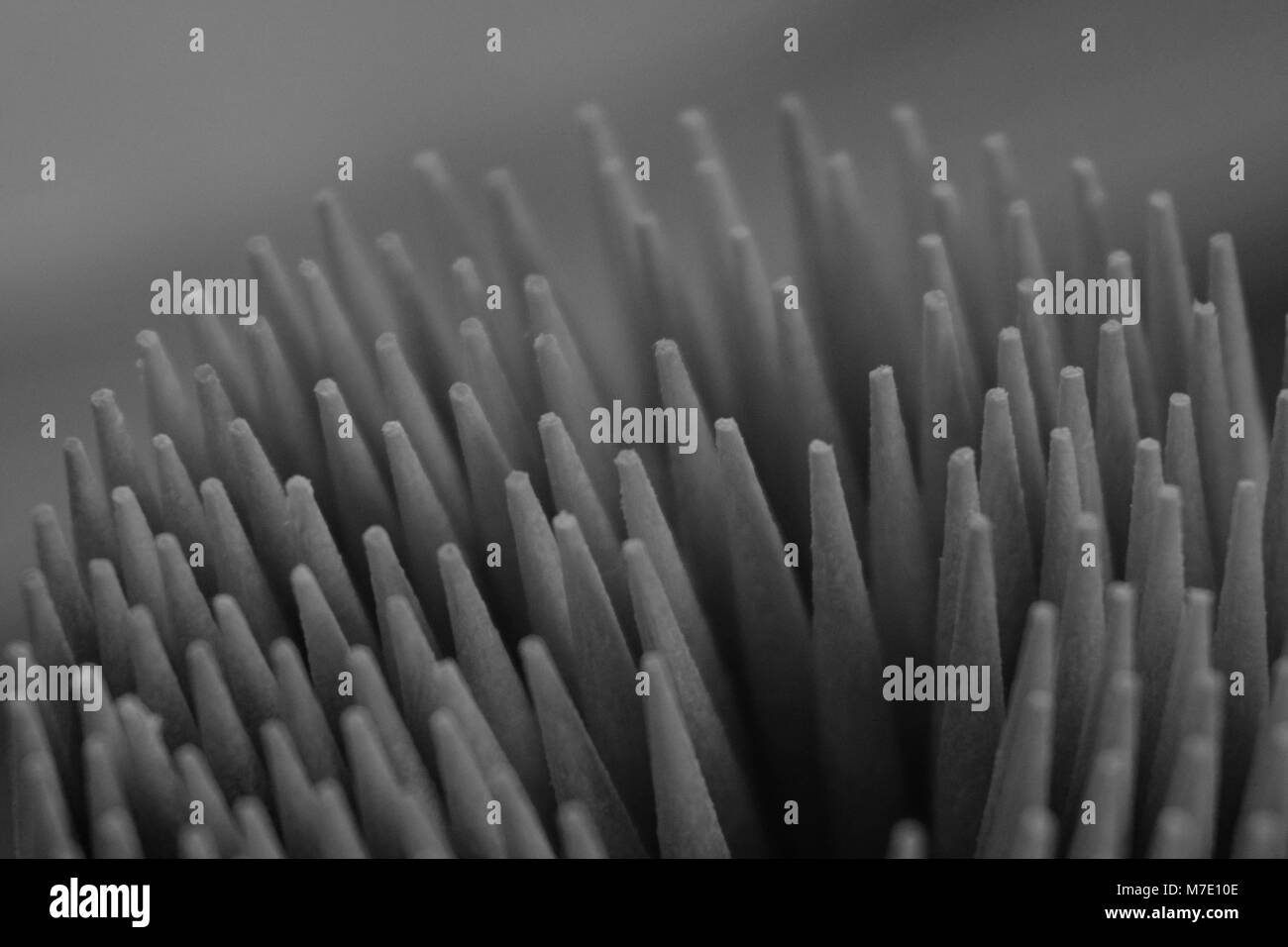 Schwarz-weiß Optik von zahnstocher. Stockfoto