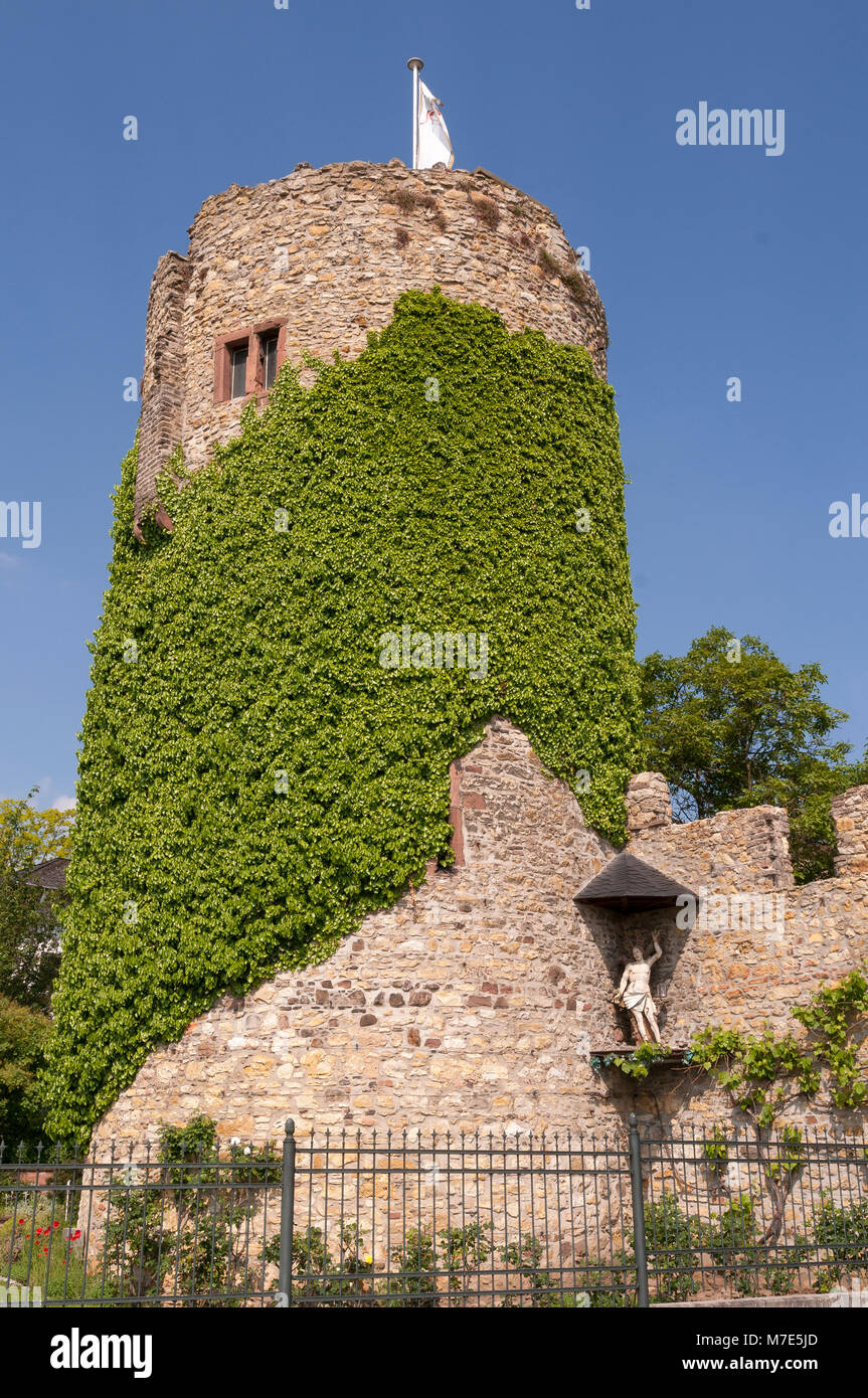 Eltville, Burg, Rheingau, Hessen, Deutschland Stockfoto