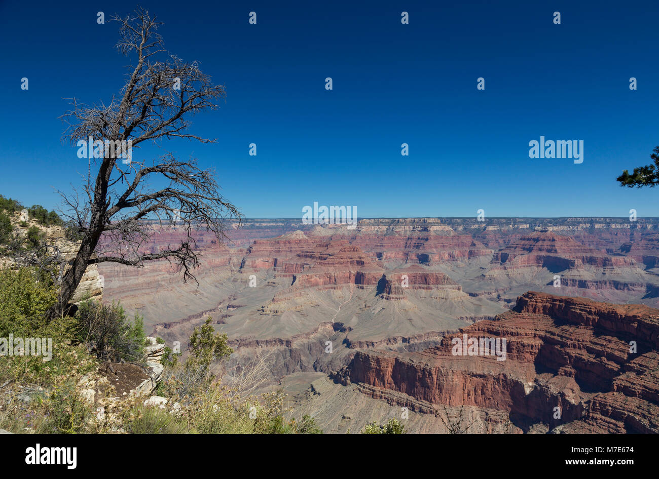 Grand Canyon Blick vom Monument Creek Vista, Arizona, USA Stockfoto