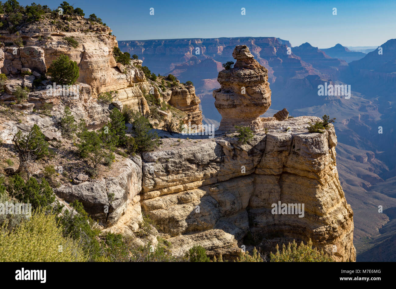 Ente auf eine Felsformation im Duck auf einem Felsen Viewpoint, Grand Canyon, Arizona, USA Stockfoto