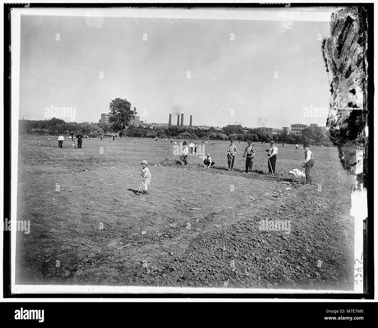 Bild des National Emergency Food Garden, ein Programm, das sich auf den Anbau von Lebensmitteln in Zeiten der nationalen Krise konzentriert. Stockfoto