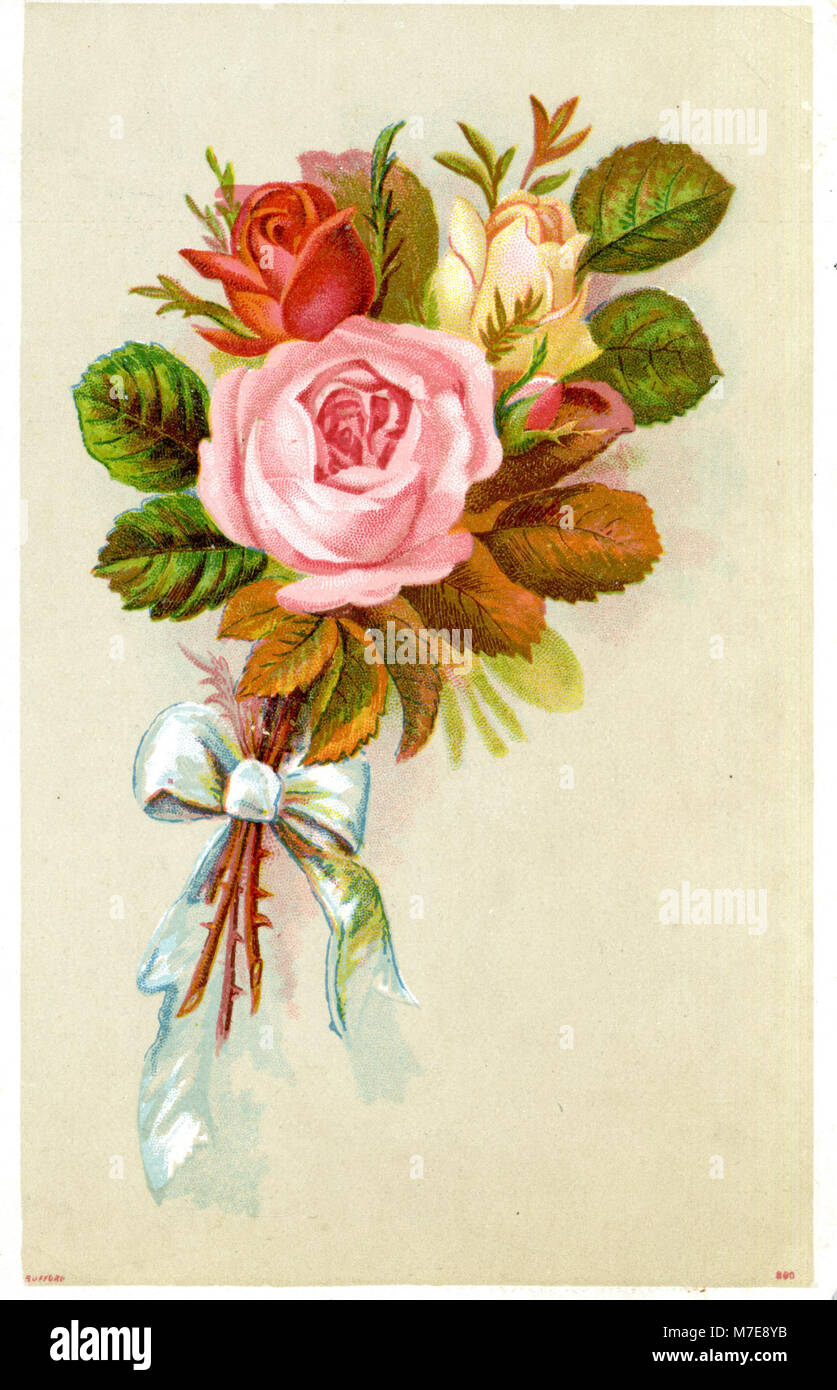 Dieses Bild ist Teil der Sammlung der National Library of Medicine, die sich auf ein historisches Thema oder Bild im Zusammenhang mit Gesundheit und Medizin konzentriert. Stockfoto