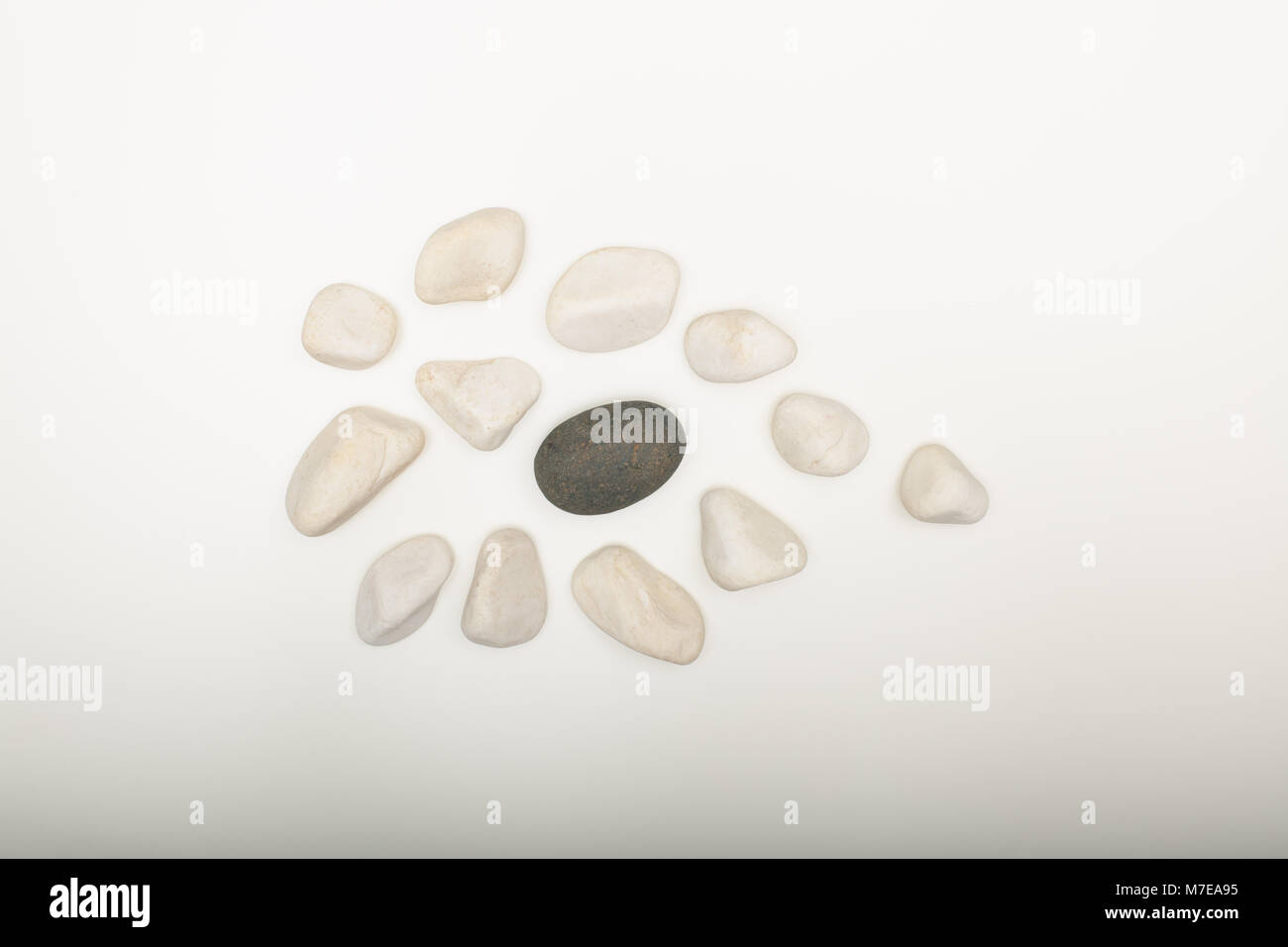 Wasser gewaschen glatte weiße Kieselsteine mit einem einzigen schwarz auf weißem Hintergrund mit Kopie Raum in einem konzeptionellen Bild Stockfoto