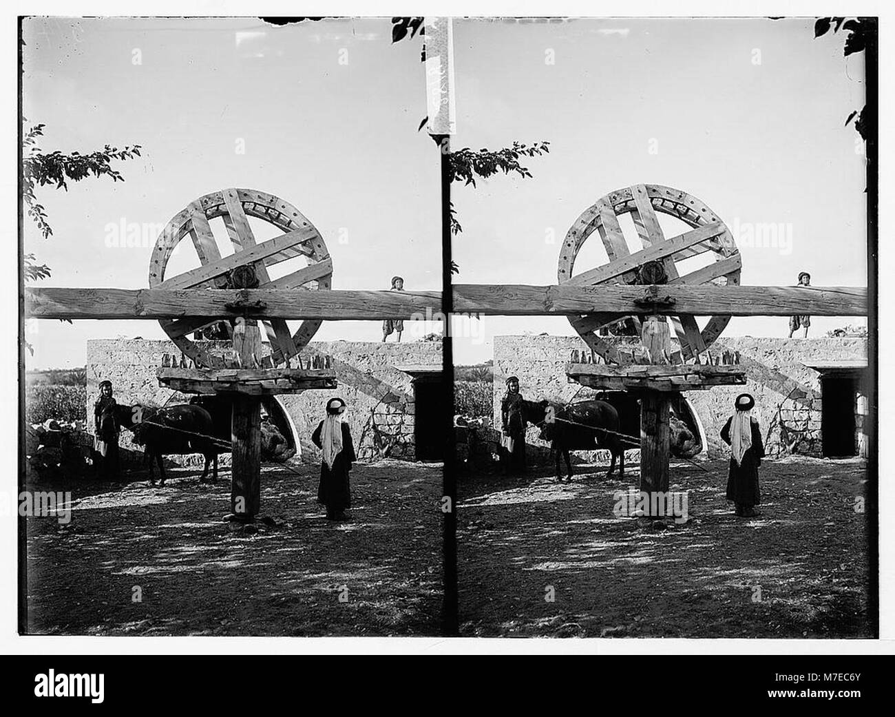 Ein Bild eines orientalischen Bewässerungsrades, das in verschiedenen Teilen Asiens für die Wasserbewirtschaftung in landwirtschaftlichen Umgebungen verwendet wird. Das Rad spiegelt alte landwirtschaftliche Techniken wider. Stockfoto