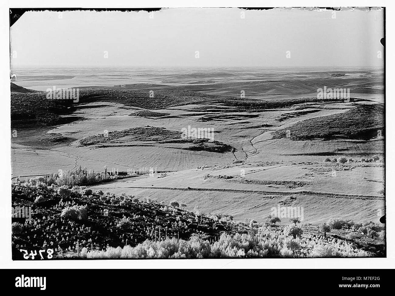 Ein Blick von Beit Jamal aus, mit Blick auf die Ebene von Sharon und das Tal von Elah, beides wichtige Orte in der biblischen Geschichte. Stockfoto