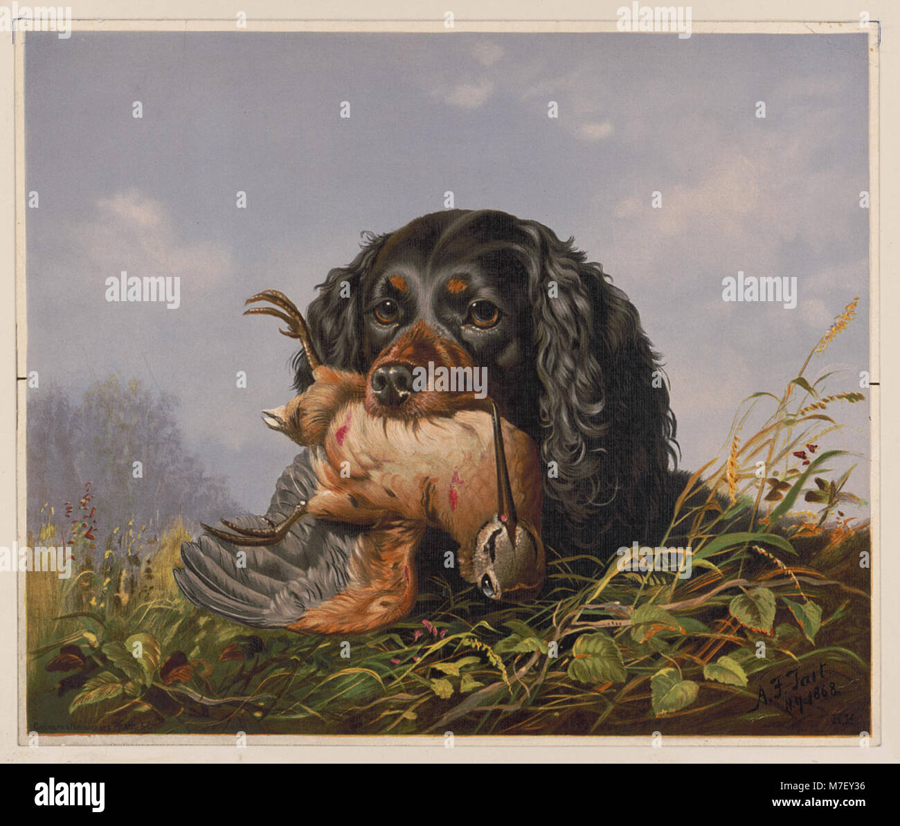 Ein Gemälde oder Foto, das einen Spaniel-Hund neben einem Holzhahn-Vogel zeigt und eine klassische Jagdszene aus dem frühen 20. Jahrhundert illustriert. Stockfoto