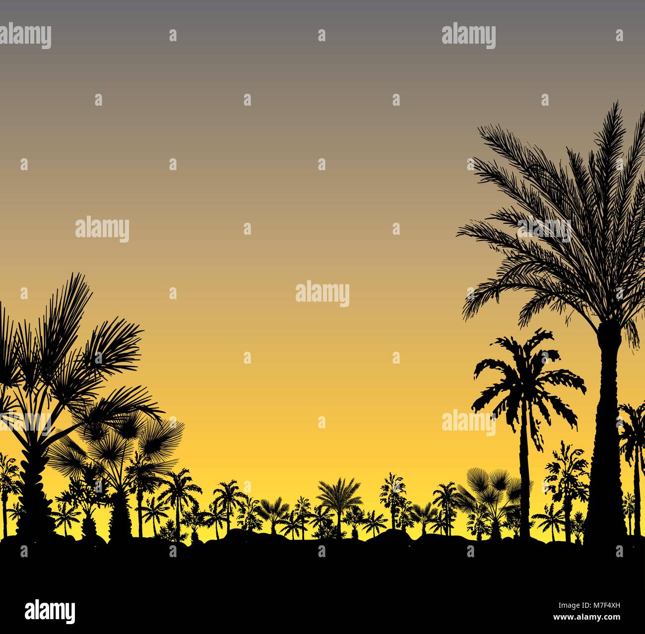 Vektor Karte mit realistischen Palmen Silhouette auf tropischen grunge Sonnenuntergang bzw. Sonnenaufgang Hintergrund Stock Vektor