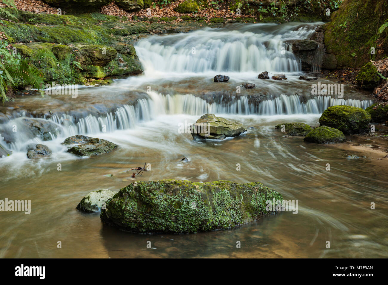 Wasserfall auf dem Fluss Stor in West Sussex, England. Stockfoto
