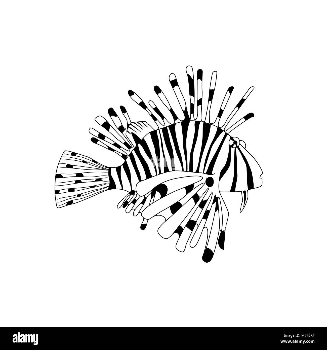 Vector schwarz und weiß Feuerfische. Cartoon Pterois volitans Stock Vektor