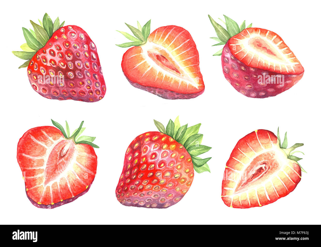 Sammlung von Abbildungen von Dessert Berry in der Schokolade. Aquarell Erdbeere in einen Schnitt. Isolierte Bild der Früchte auf weißem Hintergrund. Vegetarisch Stockfoto