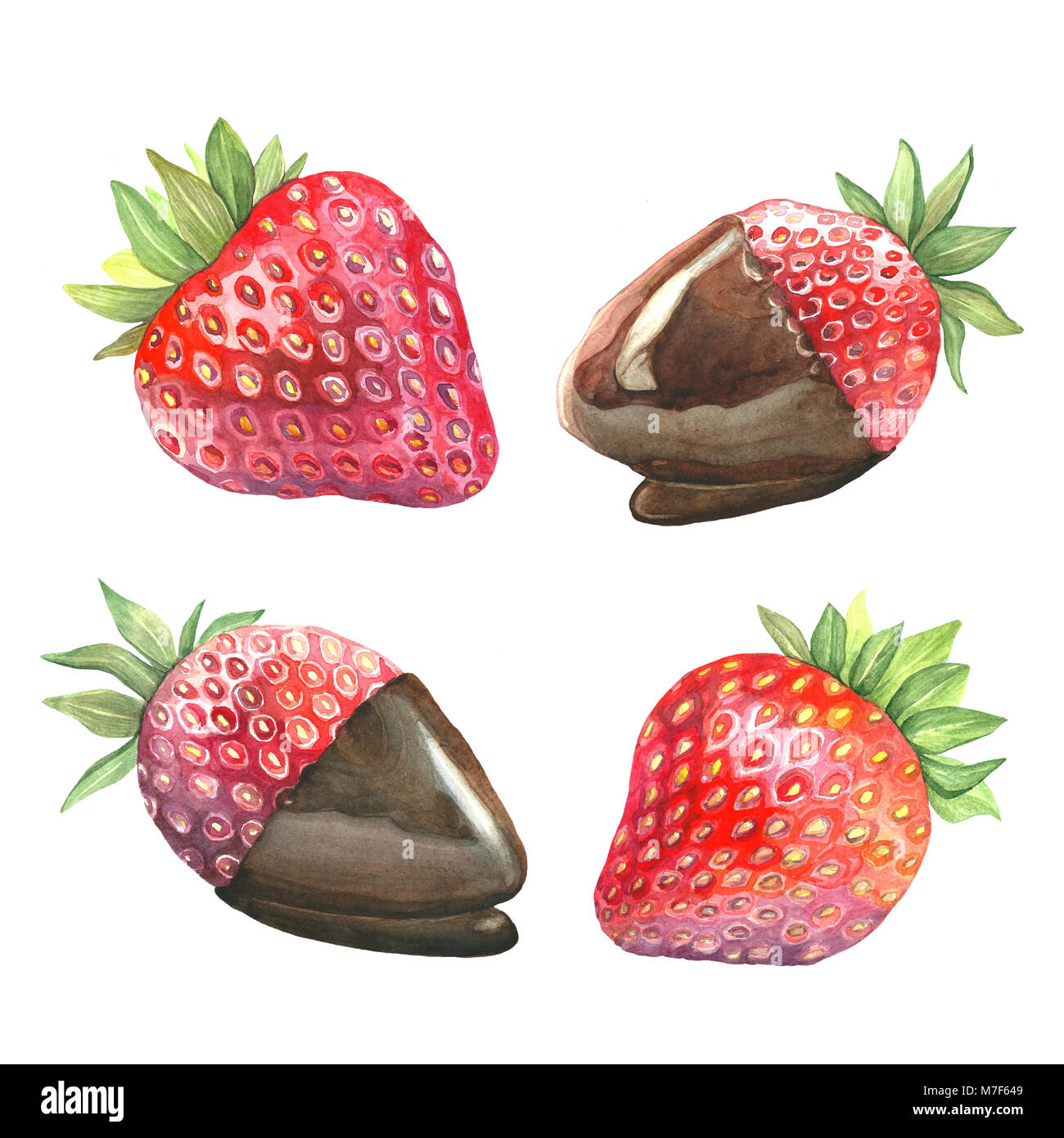 Eine Reihe von Aquarell Abbildungen eines reifen Beeren. Dessert Erdbeeren in Schokolade. Isolierte Bild der Früchte auf weißem Hintergrund. Stockfoto