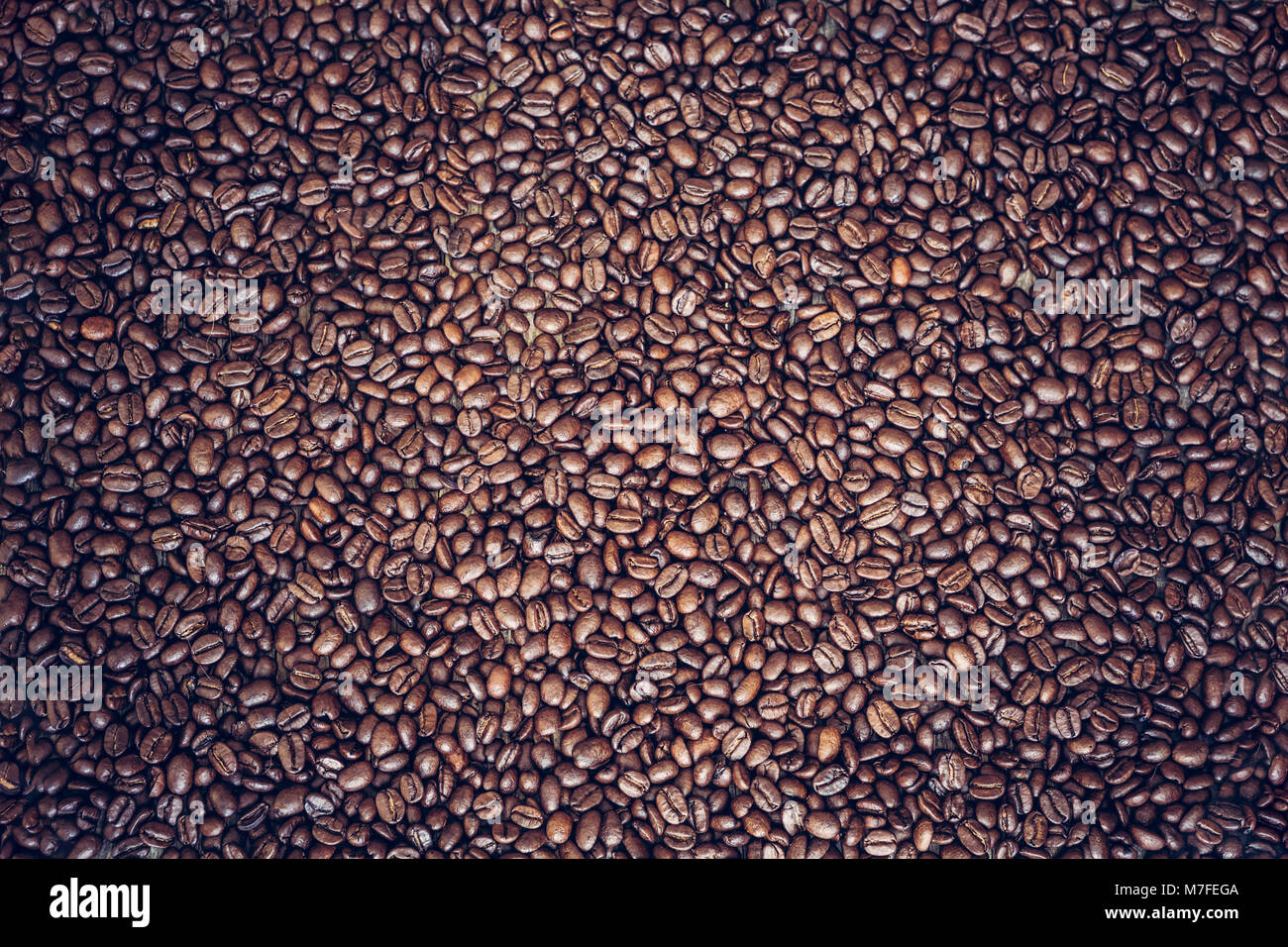 Reich braun gerösteten Kaffeebohnen Hintergrund Stockfoto
