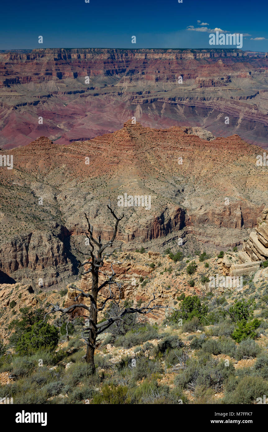 Suchen nordwestlich von Desert View, Grand Canyon South Rim, Arizona, USA Stockfoto