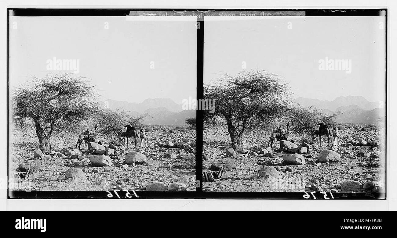 Dieses Bild zeigt eine Reise durch die Sinai-Halbinsel über das Rote Meer, die durch Tor und Wady Hebran führt und die Wüstenlandschaft und das zerklüftete Gelände zeigt. Stockfoto