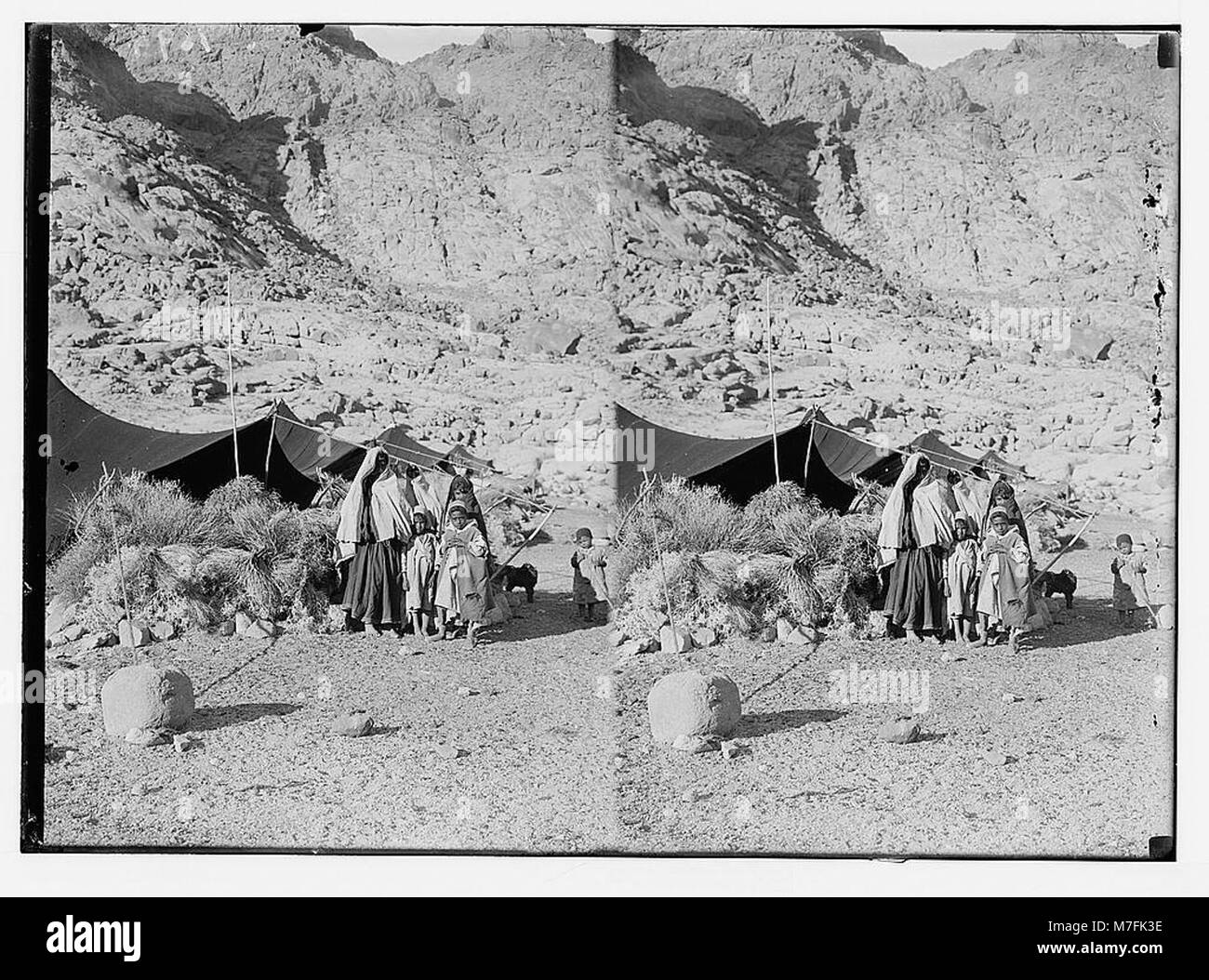 Ein Foto, das ein Beduinenlager auf der Reise nach Sinai über das Rote Meer, Tor und Wady Hebran dokumentiert und den nomadischen Lebensstil und die Wüstengeographie widerspiegelt. Stockfoto
