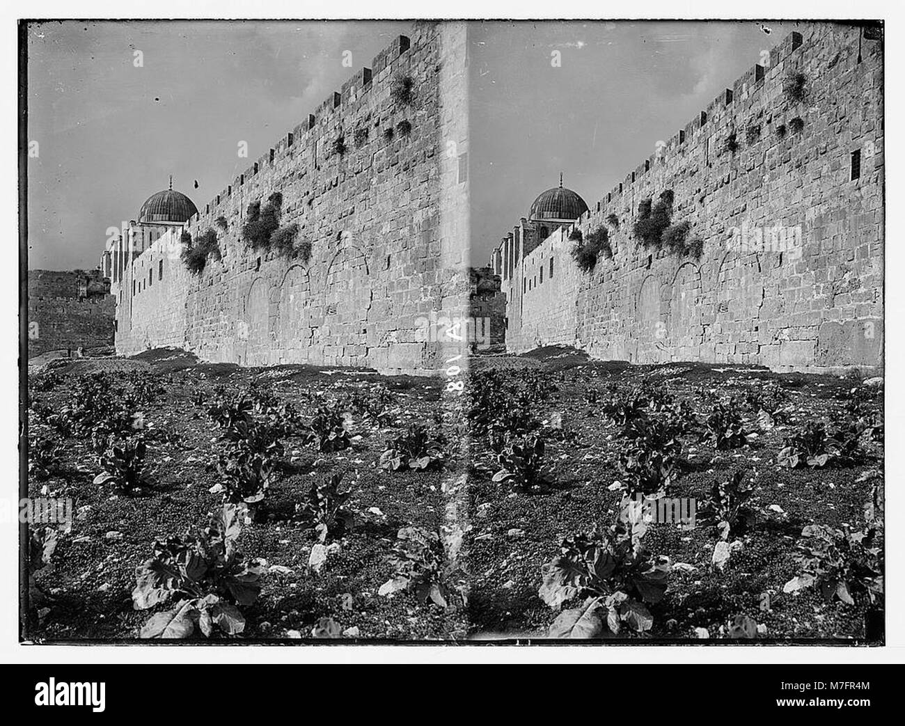 Blick auf die antike Stadtmauer von Jerusalem, einschließlich einer Nahaufnahme des Dreifachtors, ein bedeutendes historisches und architektonisches Merkmal der Altstadt. Das Foto zeigt die Rolle des Bauwerks in der Geschichte Jerusalems und seine Erhaltung als kulturelles Wahrzeichen. Stockfoto