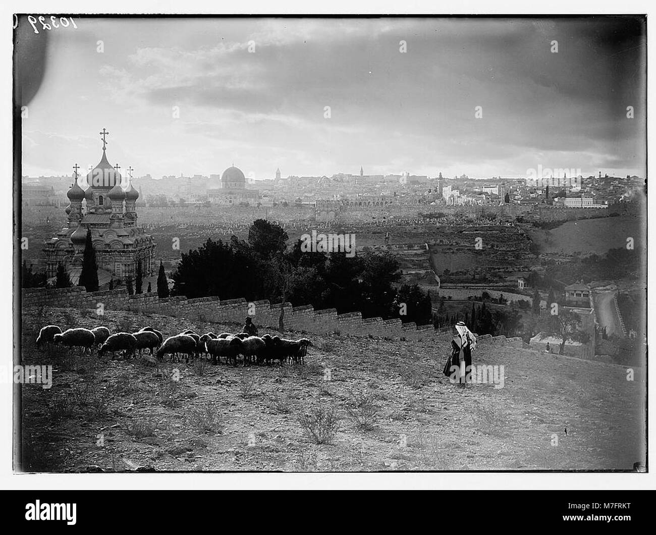 Dieses Bild zeigt eine Ansicht von Jerusalem mit dem Garten Gethsemane im Hintergrund. Schafe und ein Hirte sind im Vordergrund sichtbar, was die biblische und historische Bedeutung der Region widerspiegelt. Stockfoto