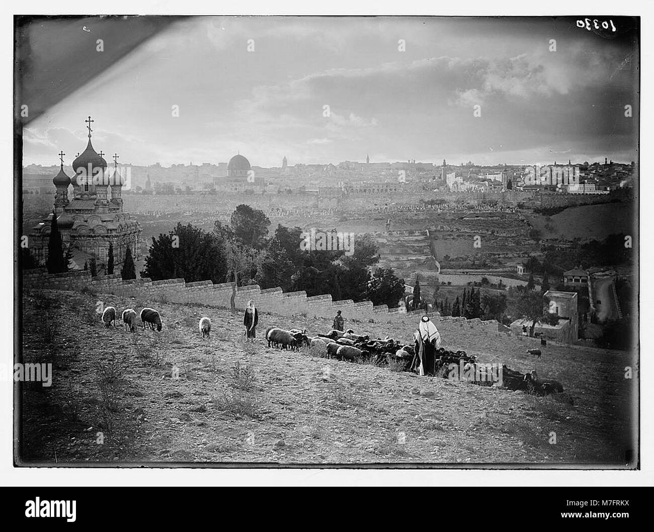 Dieser Blick auf Jerusalem zeigt den Garten Gethsemane mit Schafen und einem Hirten im Vordergrund, was die historische und religiöse Bedeutung der Gegend verdeutlicht. Stockfoto