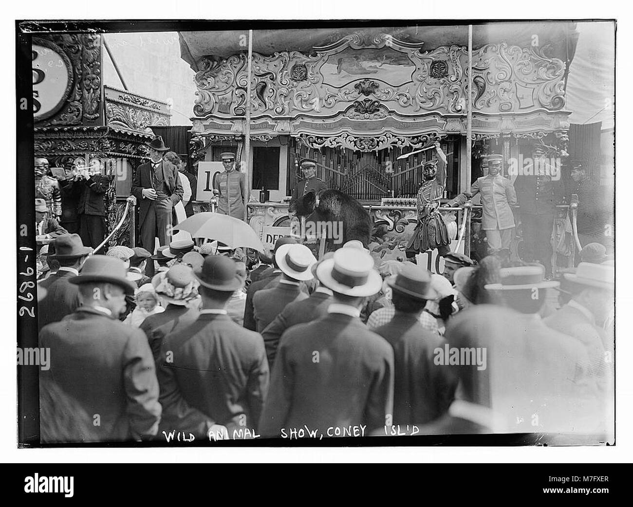 Ein historisches Foto, das eine Wildtiershow auf Coney Island zeigt und die populäre Unterhaltung des frühen 20. Jahrhunderts feststellt. Bei dieser Veranstaltung wurden exotische Tiere in inszenierten Aufführungen für das Publikum gezeigt. Stockfoto