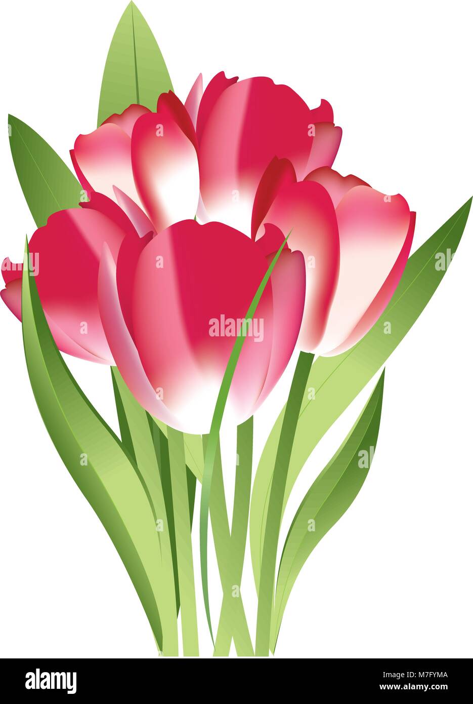Blumenstrauß aus rosa Tulpen auf weißem Hintergrund, Vector Illustration Stock Vektor
