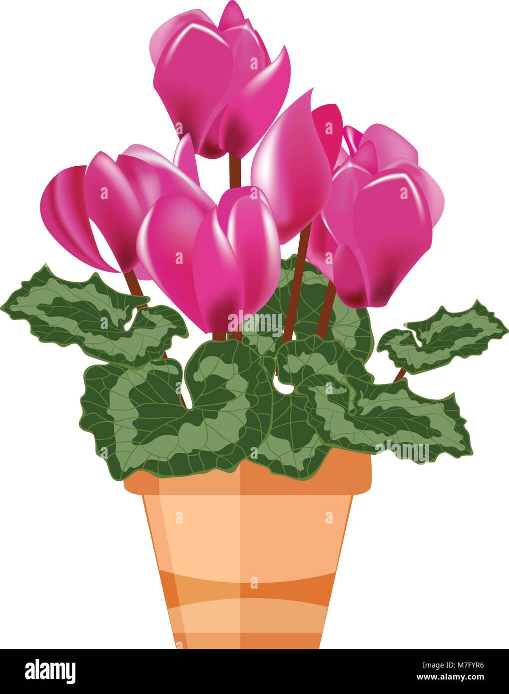 Rosa Cyclamen in einem Blumentopf auf weißem Hintergrund isoliert, Vector Illustration Stock Vektor