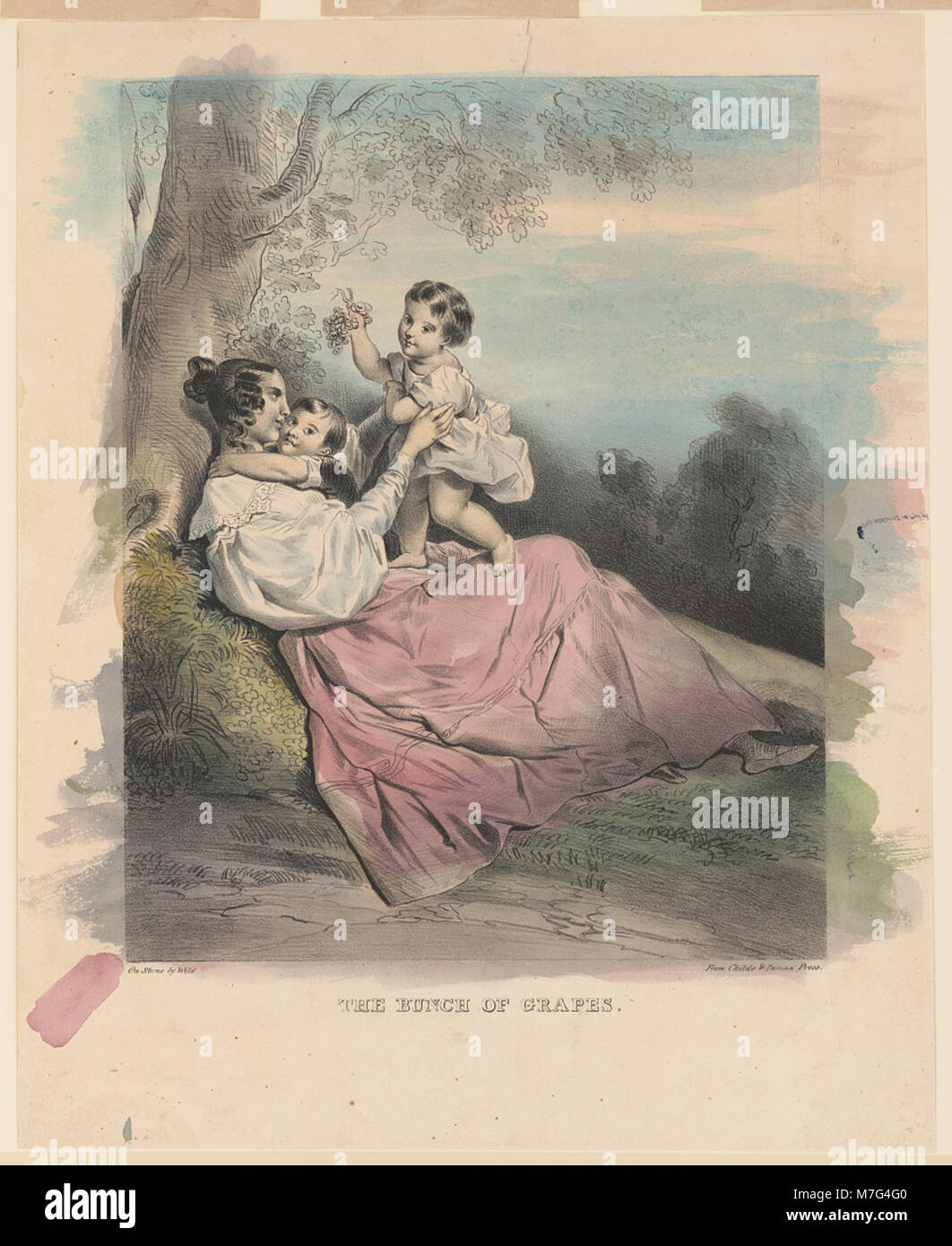 Eine Reproduktion von „The Bunch of Grapes“, einem Kunstwerk von Wild, gedruckt von Childs & Inman Press. Dieses Bild stellt die künstlerischen Techniken und Druckmethoden des frühen 20. Jahrhunderts dar. Stockfoto