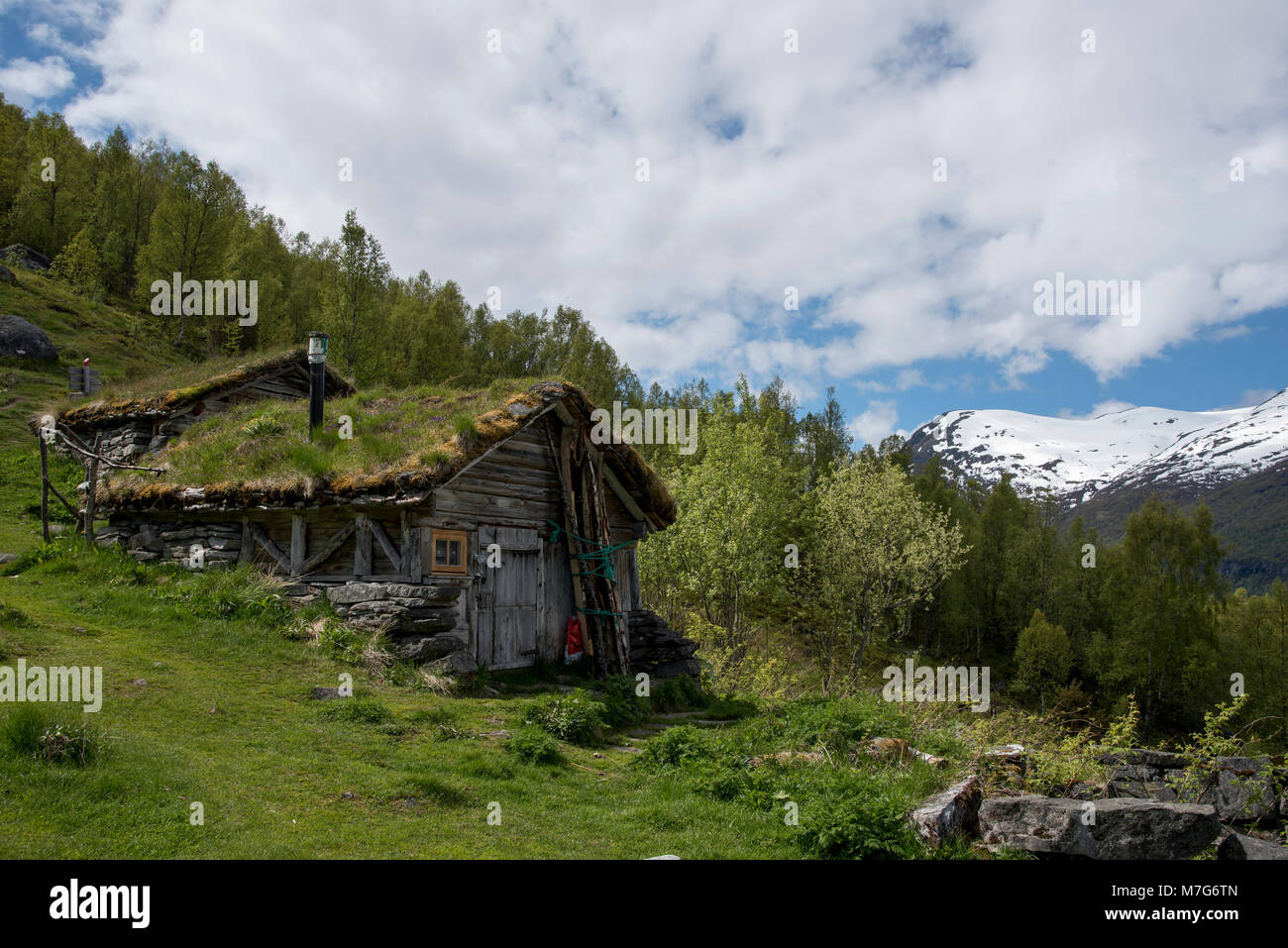 Shieling Homlungsaetra ist eine 550 Meter über dem Geirangerfjord, einem touristischen Hotspot in Norwegen. Stockfoto