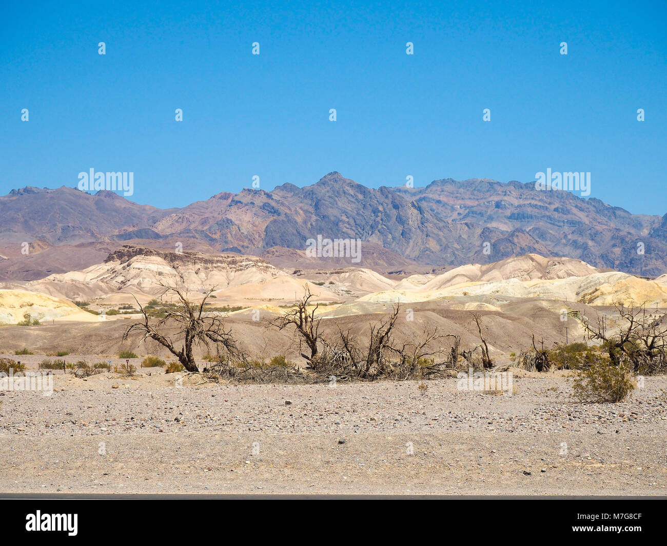 Sanddünen und verdorrte Pflanzen am Death Valley National Park, die heissesten und trockensten und niedrigsten der Nationalparks in den Vereinigten Staaten. Stockfoto