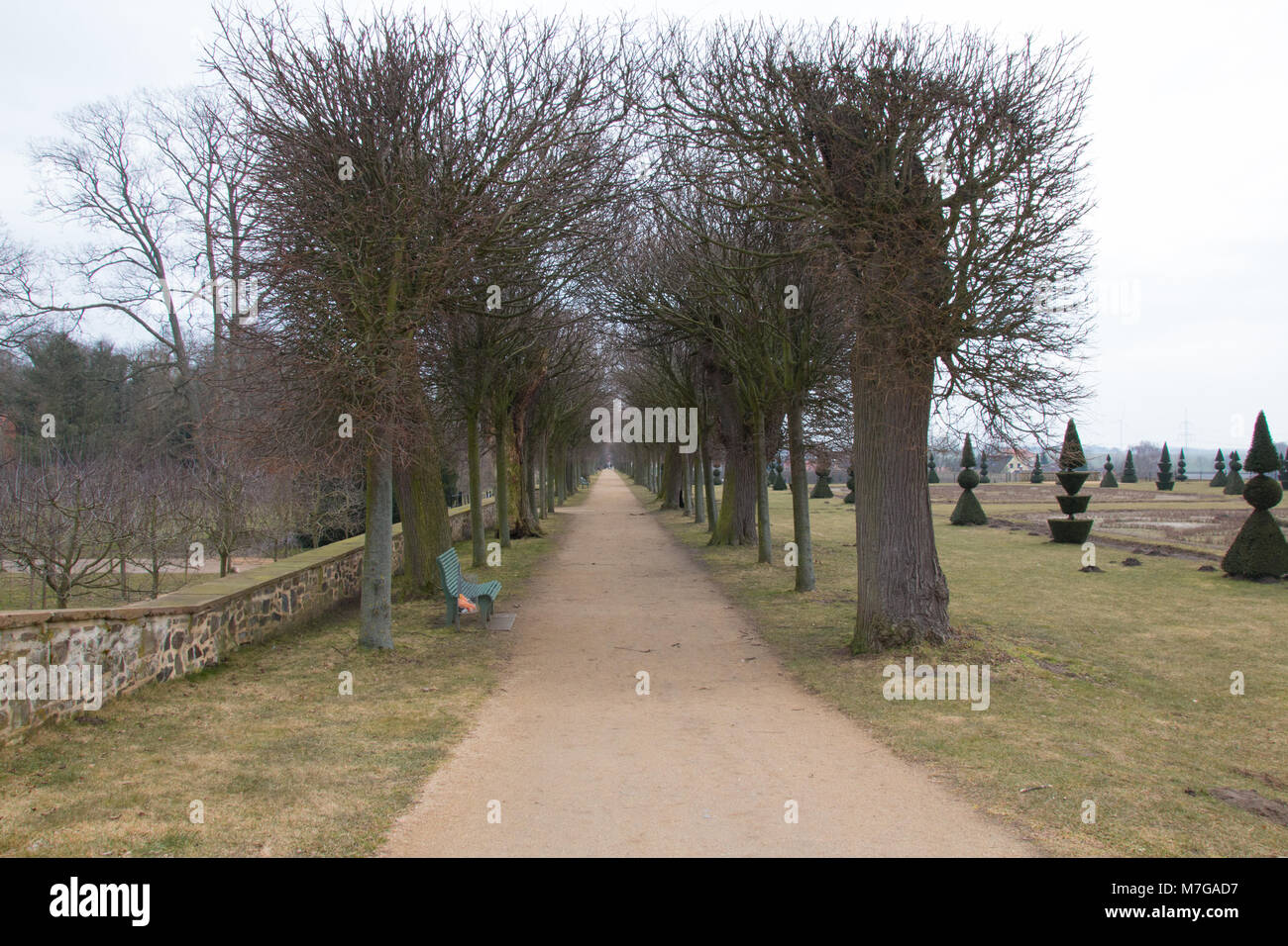 Hundisburg, Deutschland - März 10,2018: Blick auf einen alten Baum-gezeichnete Allee im Park von Schloss Hundisburg, Deutschland. Stockfoto