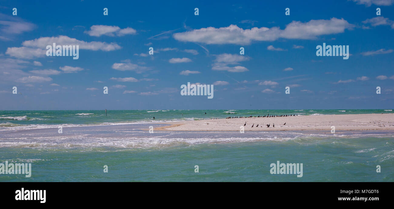 Sandstrand mit Vögeln an der südlichen Spitze von Egmont Key State Park in den Golf von Mexiko an der Westküste von Florida Stockfoto