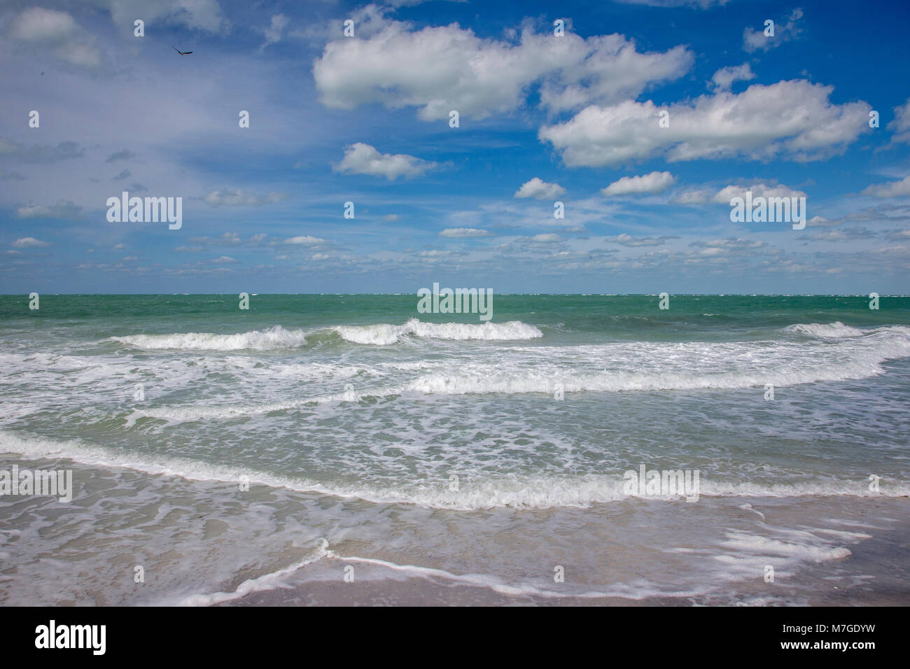 Wasser aus Egmont Key State Park am Golf von Mexico an der Westküste von Florida Stockfoto