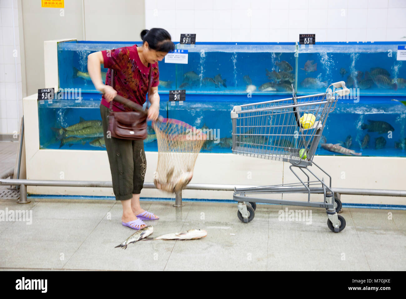 Eine Frau wählt aus lebenden Fischen in Tanks, die für den Verkauf in Wal-Mart, in der Stadt Nanning, Guangxi, South Western China. Stockfoto