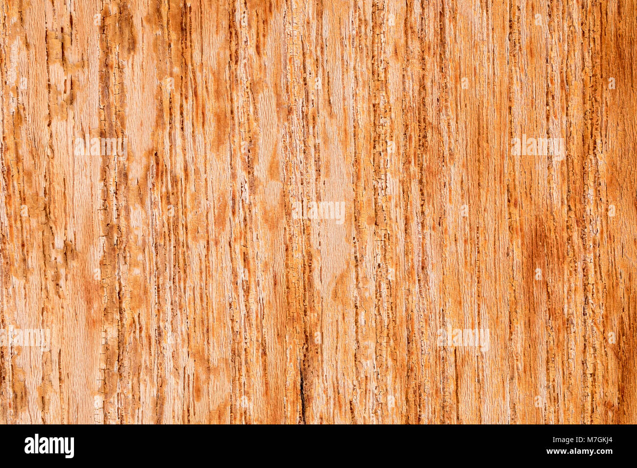Holzstruktur für Hintergrund Stockfoto