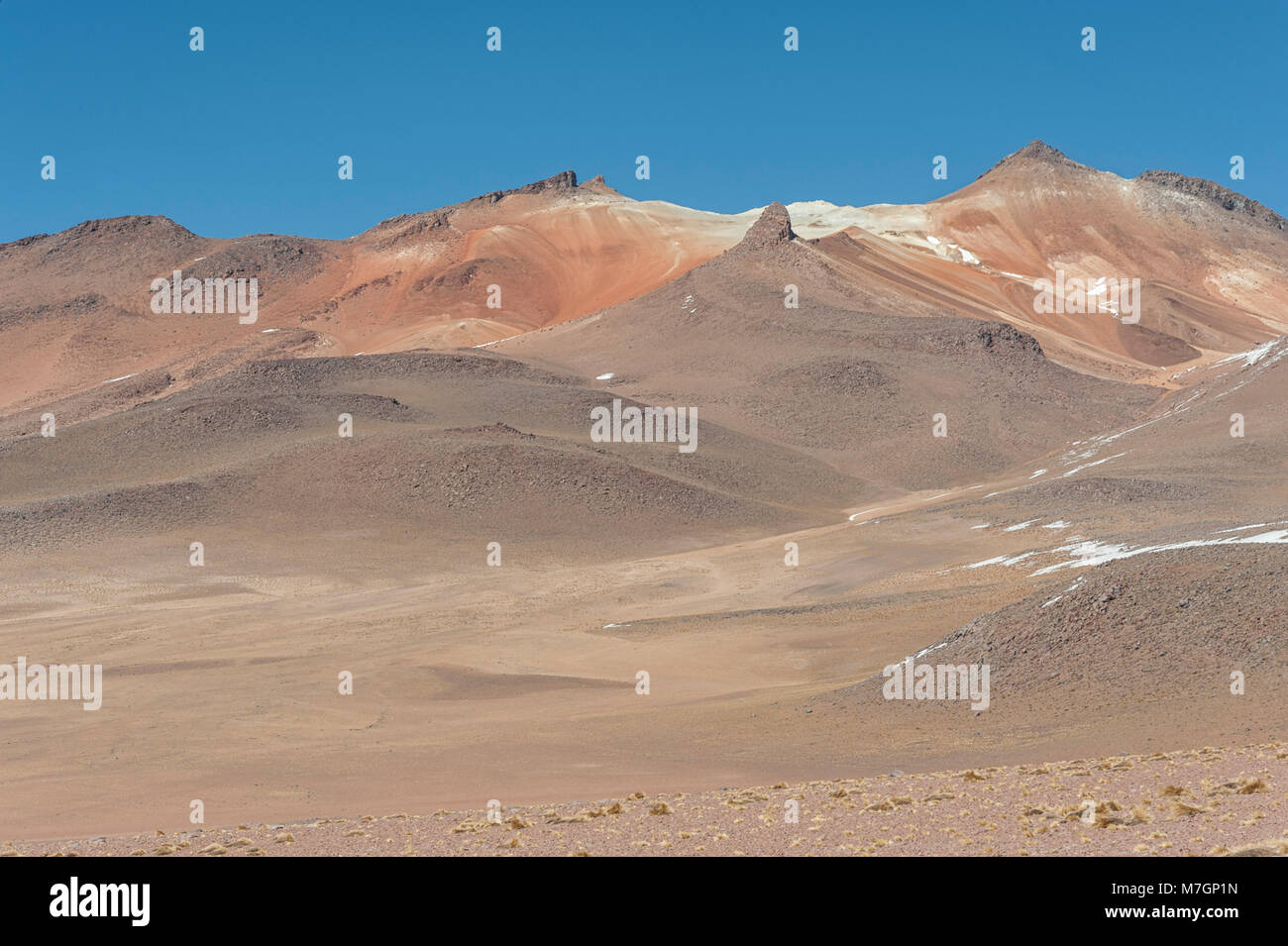 Panoramablick über die Salvador Dali Wüste in der Fauna der Anden Eduardo Avaroa National Reserve, Bolivien - Südamerika Stockfoto