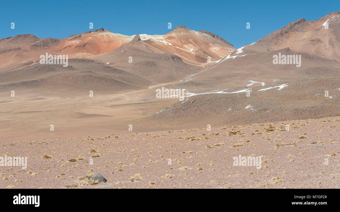 Panoramablick über die Salvador Dali Wüste in der Fauna der Anden Eduardo Avaroa National Reserve, Bolivien - Südamerika Stockfoto