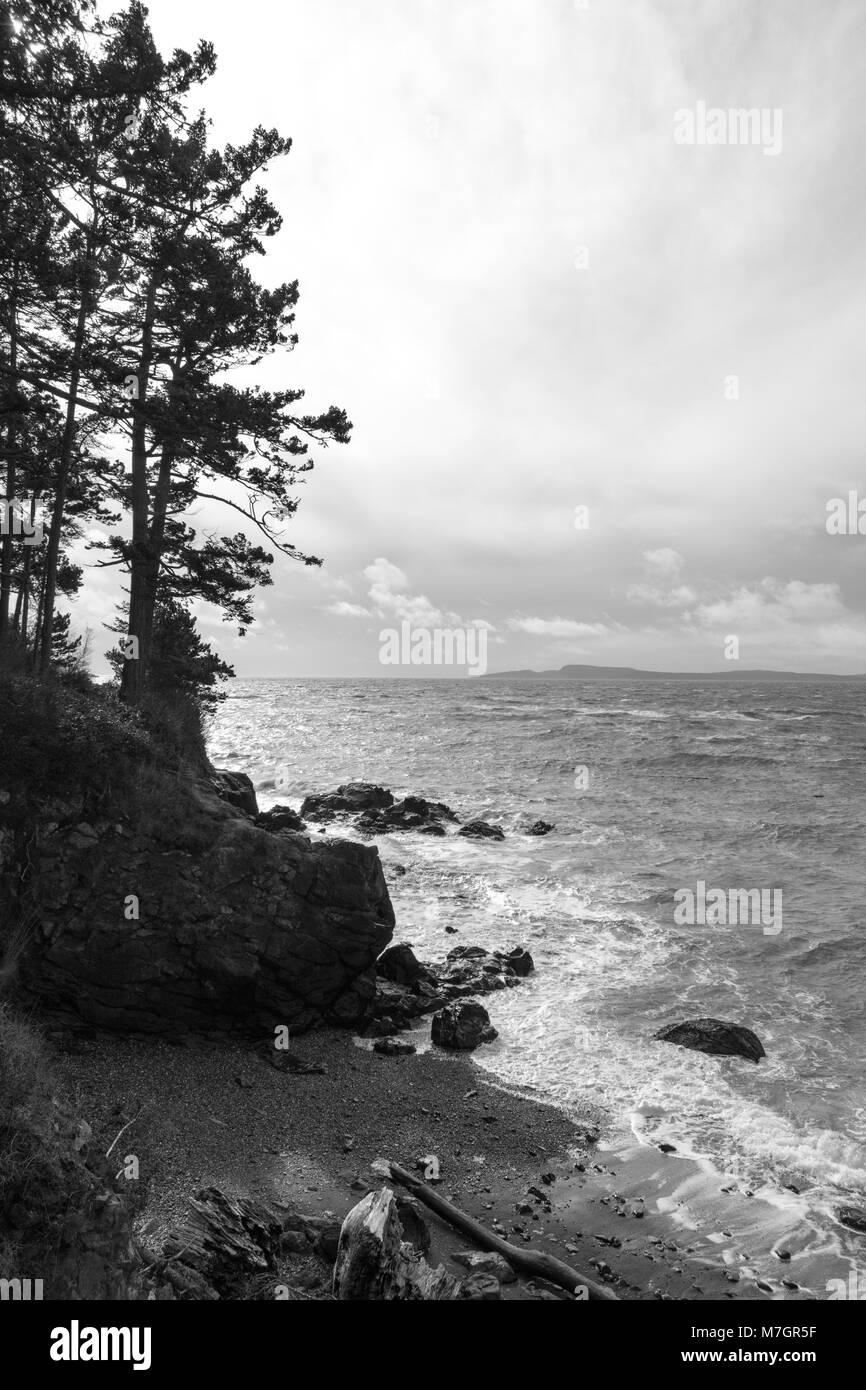 Wellen an der Washington Park; Fidalgo Island, Washington Stockfoto