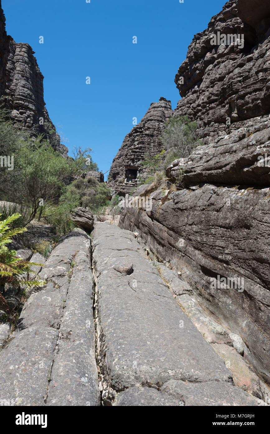 Der Grand Canyon in den Grampians (Gariwerd) National Park, Victoria, Australien. Es ist ein kleiner, aber spektakuläre Schlucht und einem beliebten kurzen Spaziergang. Stockfoto