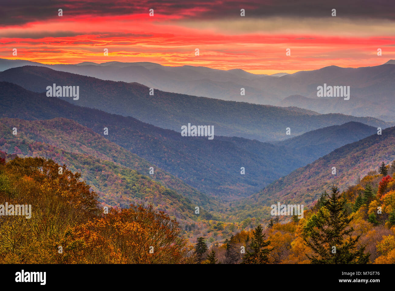 Herbstlandschaft Smoky Mountains National Park, Tennessee, USA. Stockfoto