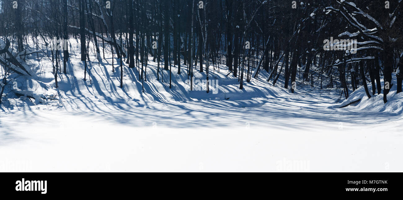 Lange Schatten in den verschneiten Wald Stockfoto