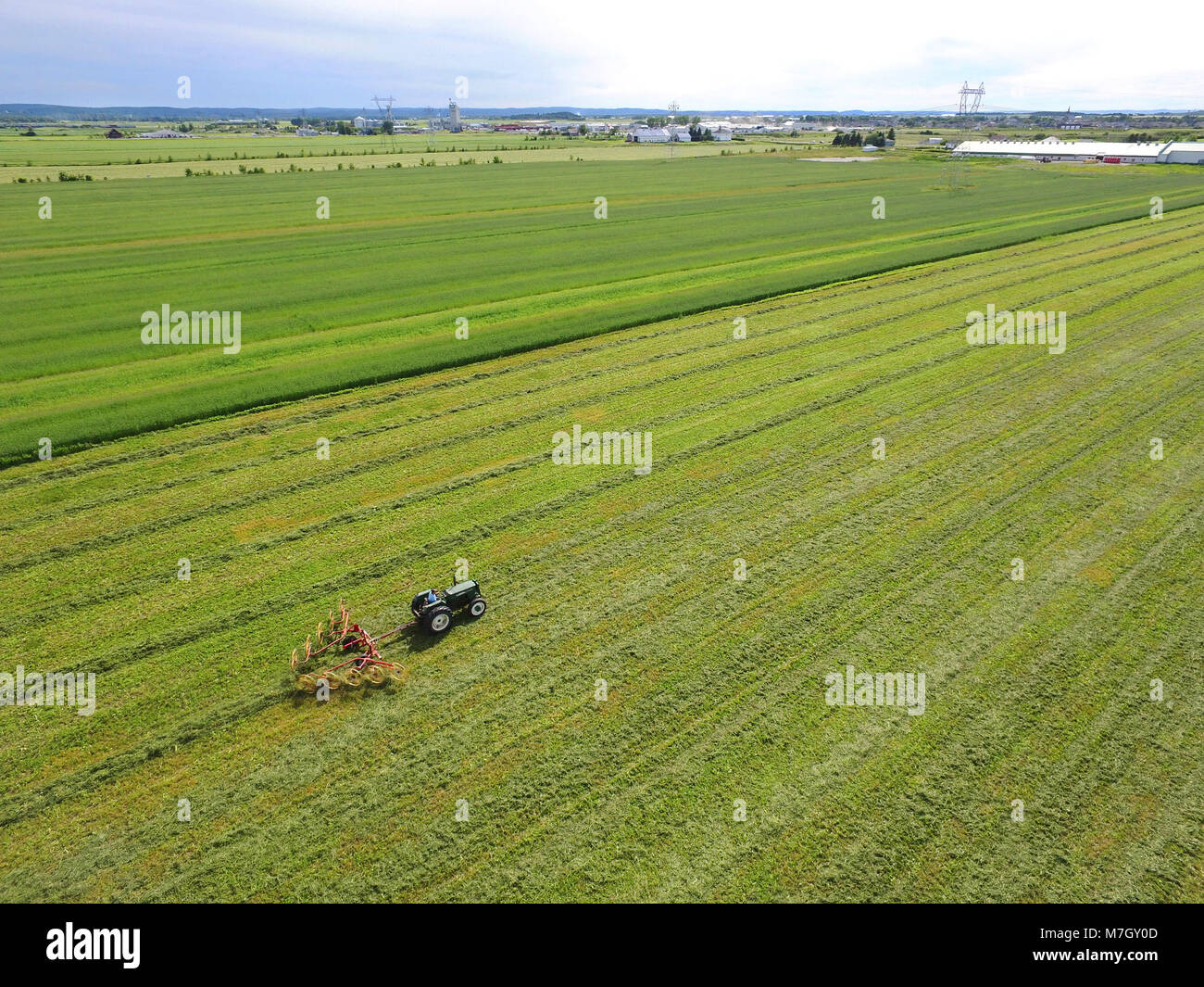 Antenne von Traktor mit egge im Getreide, Ernte Stockfoto