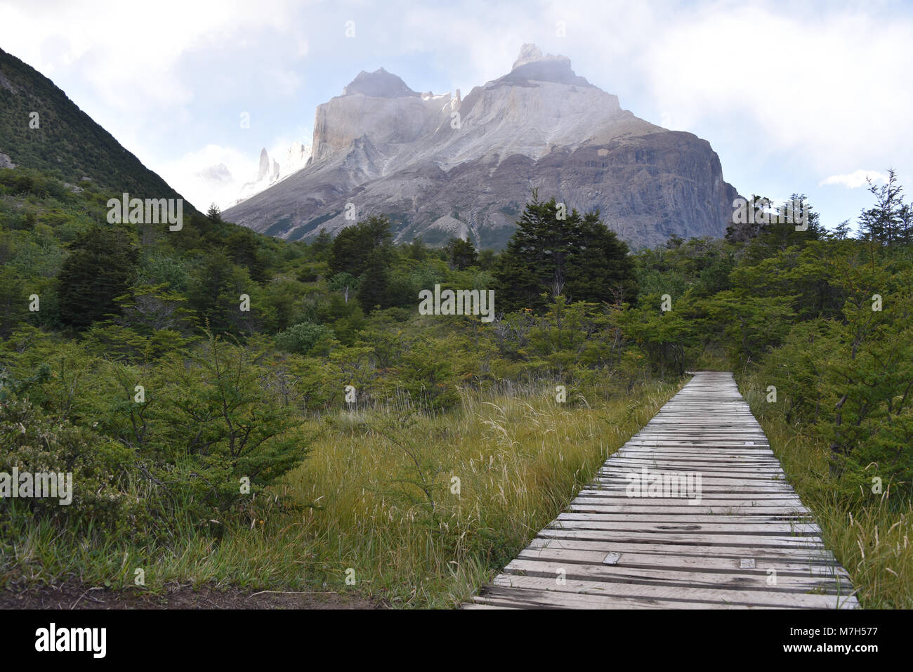 Cuerno Auftraggeber und dem Valle Frances, Torres del Paine Nationalpark. Patagonien, Chile Stockfoto