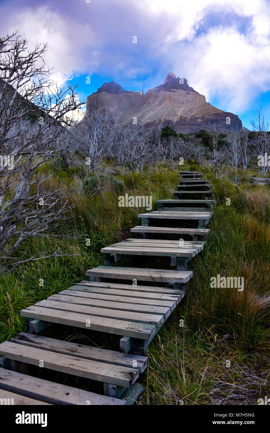 Cuerno Auftraggeber und dem Valle Frances, Torres del Paine Nationalpark. Patagonien, Chile Stockfoto