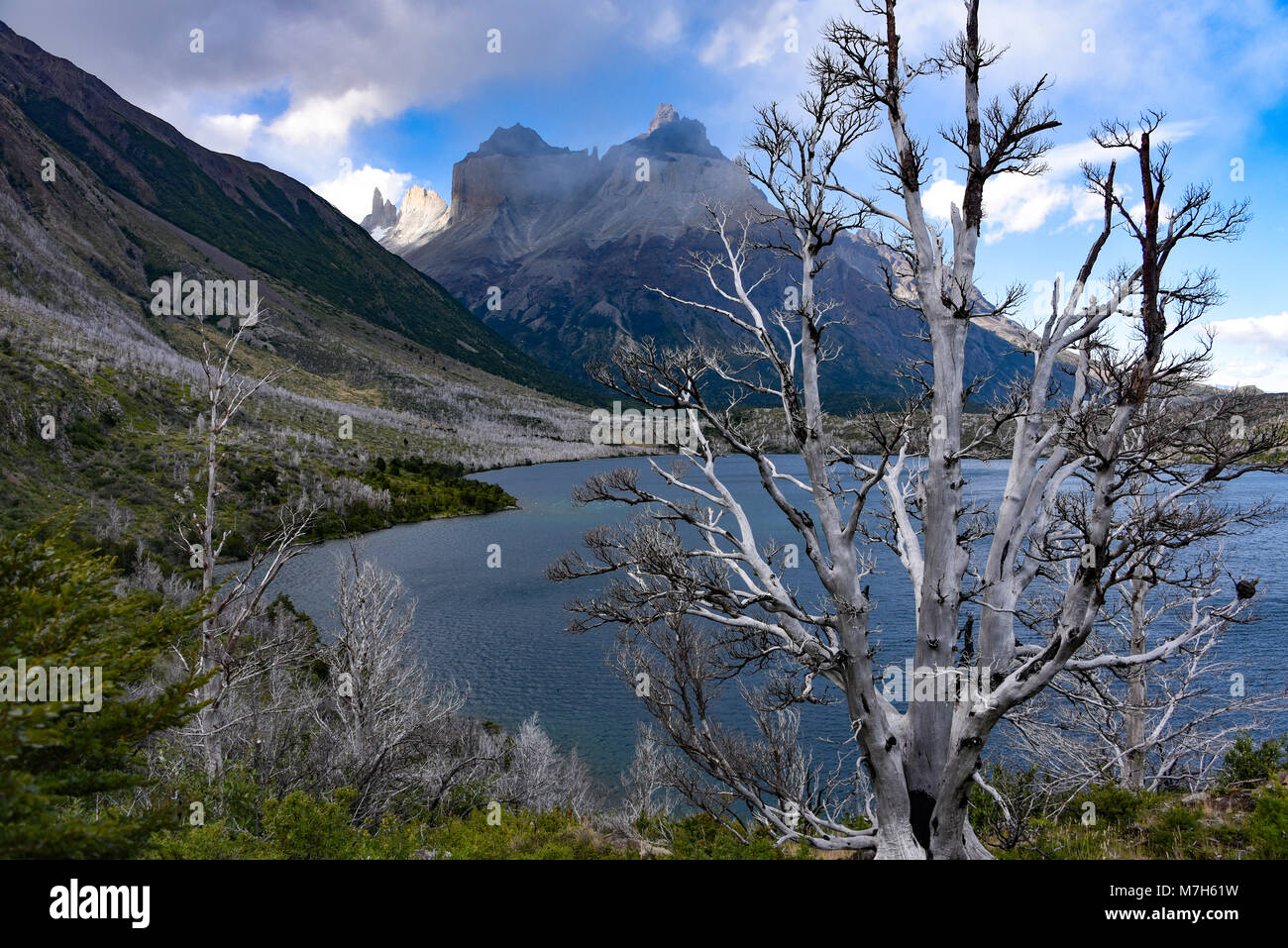 Cuerno Auftraggeber und dem Valle Frances, Torres del Paine Nationalpark. Patagonien, Chile Stockfoto