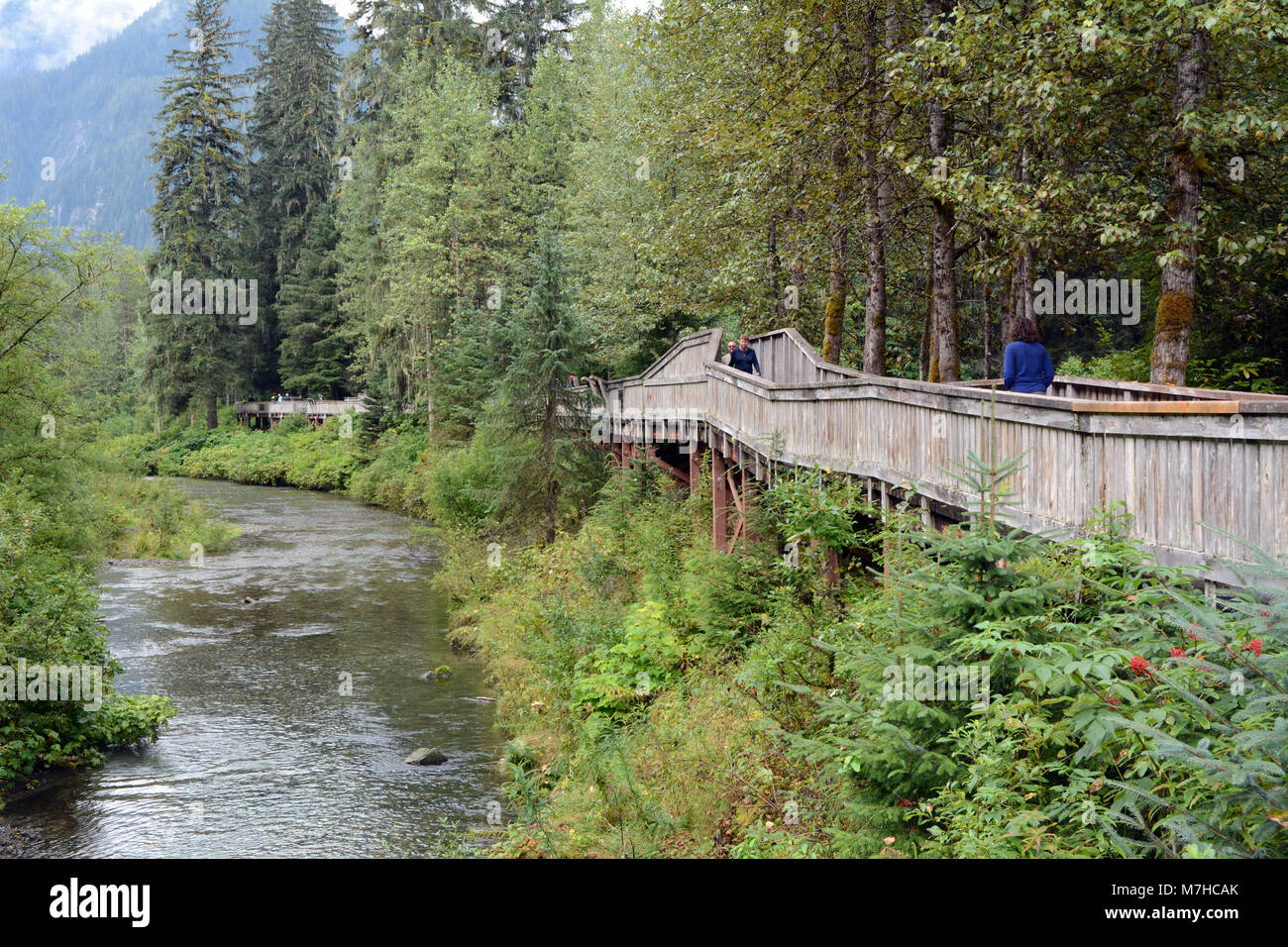 Touristen auf den Bären Aussichtsplattform am Fish Creek Wildlife Beobachtung vor Ort, in den Tongass National Forest, in der Nähe von Hyder, Alaska. Stockfoto